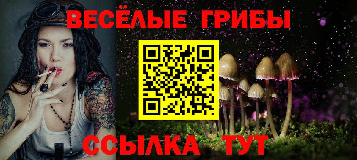 Сосновый Бор  Галлюциногенные грибы MAGIC MUSHROOMS  Галлюциногенные грибы Psilocybe  Вход с VPN 