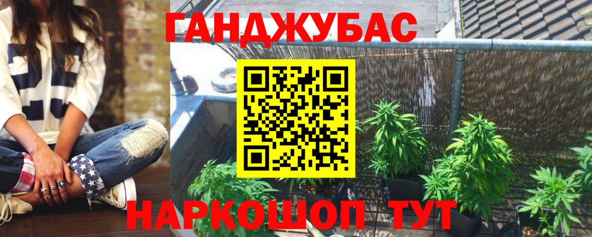 Каннабис план  Вход с VPN  Сосновый Бор  Конопля конопля 
